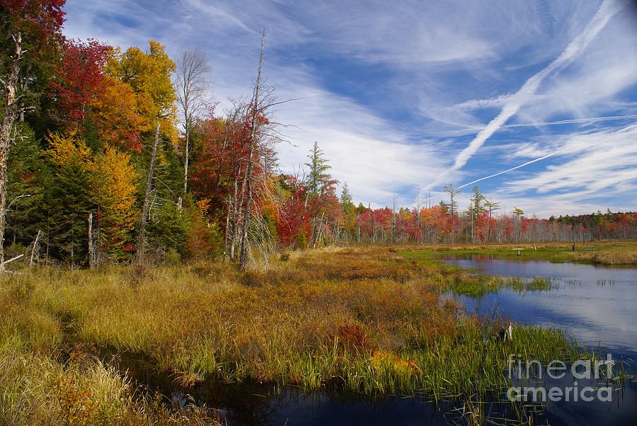 Adirondack Clouds Photograph by Darcy Leigh