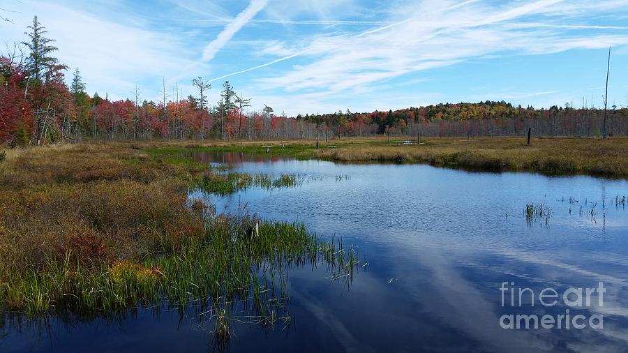 Adirondack Azure Autumn Photograph by Darcy Leigh