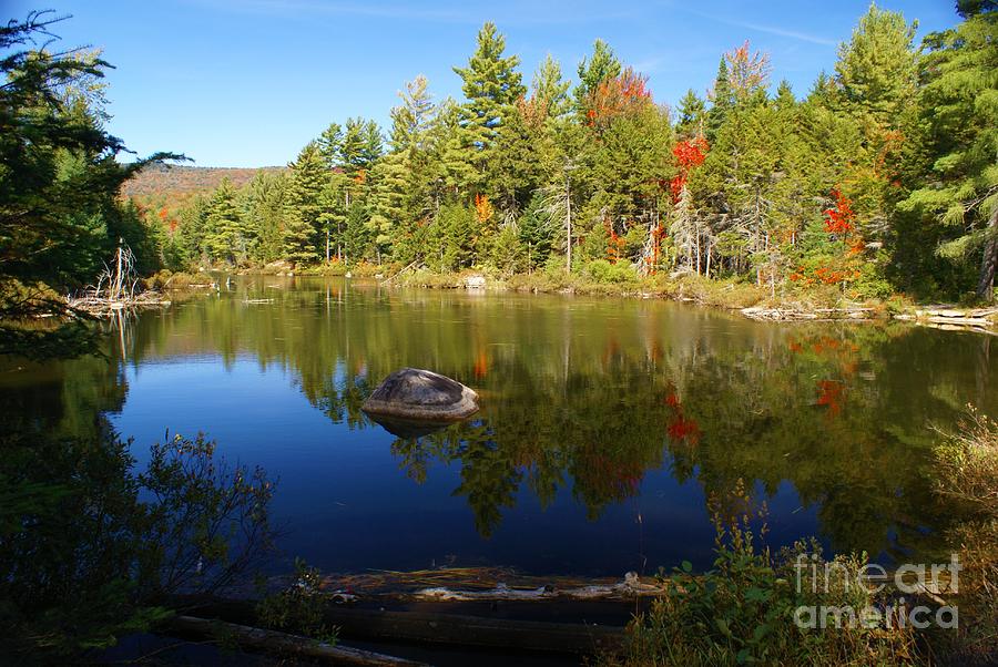 Adirondack Autumn Pond Photograph by Darcy Leigh