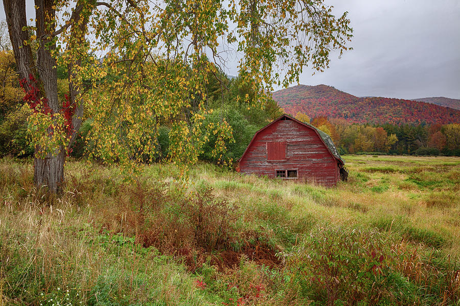 Adirondack Barn in Autumn Photograph by Denise Bush - Fine Art America