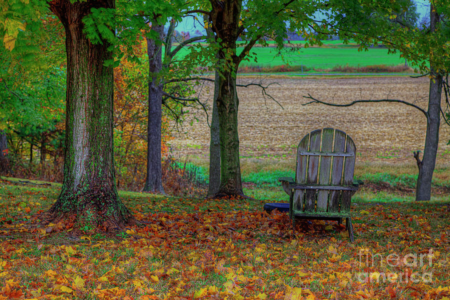 Driving Photograph - Adirondack Chair With A View by Larry Braun Driving Photograph - Adirondack Chair With A View by Larry Braun