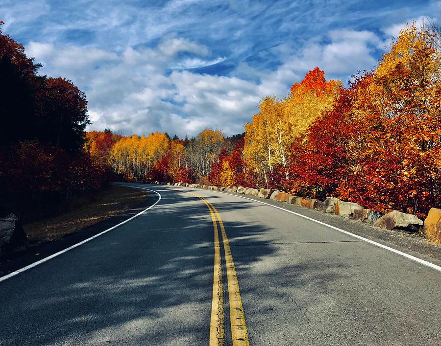 Adirondack Drive Photograph by Liz Costa