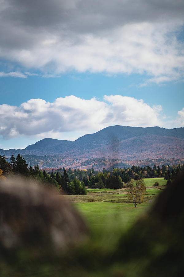 Adirondack  Fall Photograph by Dave Niedbala