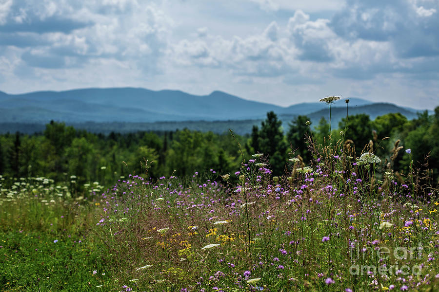 Adirondack Scenery Photograph by Jessica Brown