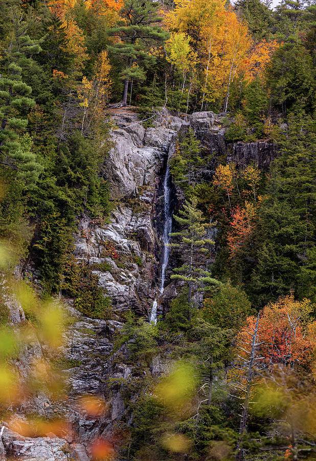 Adirondack Waterfall Photograph by Dave Niedbala