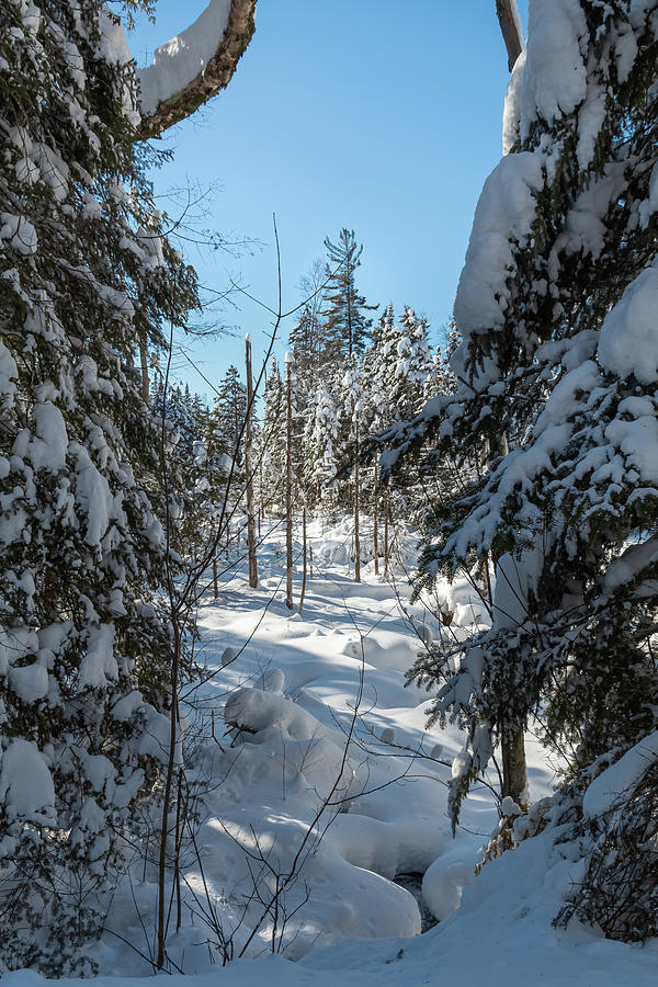 Adirondack Winter Photograph by Sandy Roe