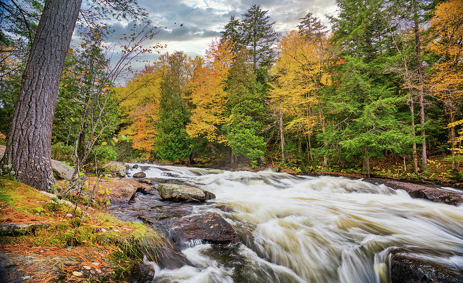 Adirondacks Autumn at Buttermilk Falls 4 Photograph by Ron Long Ltd Photography