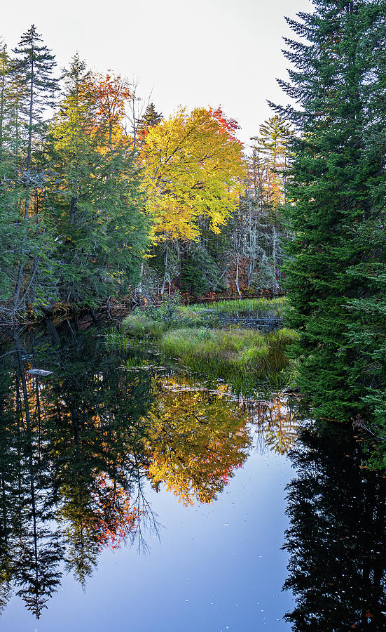 Adirondacks Autumn at Lewey Lake Reflection Photograph by Ron Long Ltd Photography