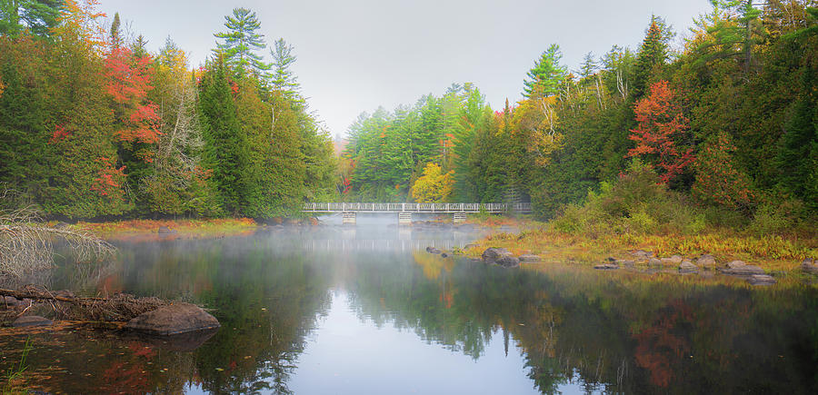 Adirondacks Autumn at Rich Lake 9 Photograph by Ron Long Ltd Photography