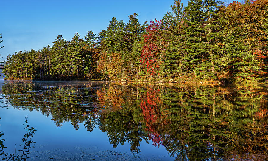 Adirondacks Autumn at Tupper Lake 1 Photograph by Ron Long Ltd Photography