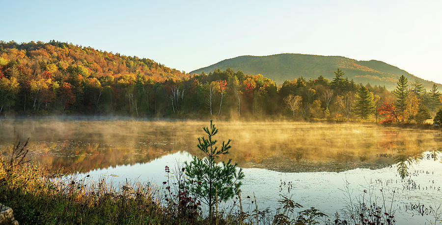 Adirondacks Autumn at Tupper Lake 3 Photograph by Ron Long Ltd Photography