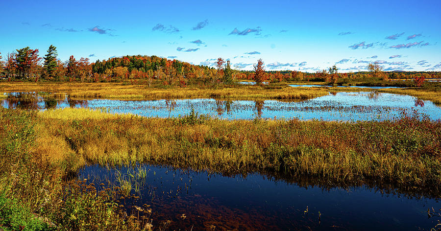 Adirondacks Autumn at Tupper Lake 7 Photograph by Ron Long Ltd Photography
