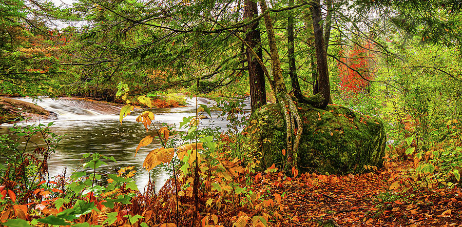 Adirondacks Autumn at Bog River Falls 1 Photograph by Ron Long Ltd Photography