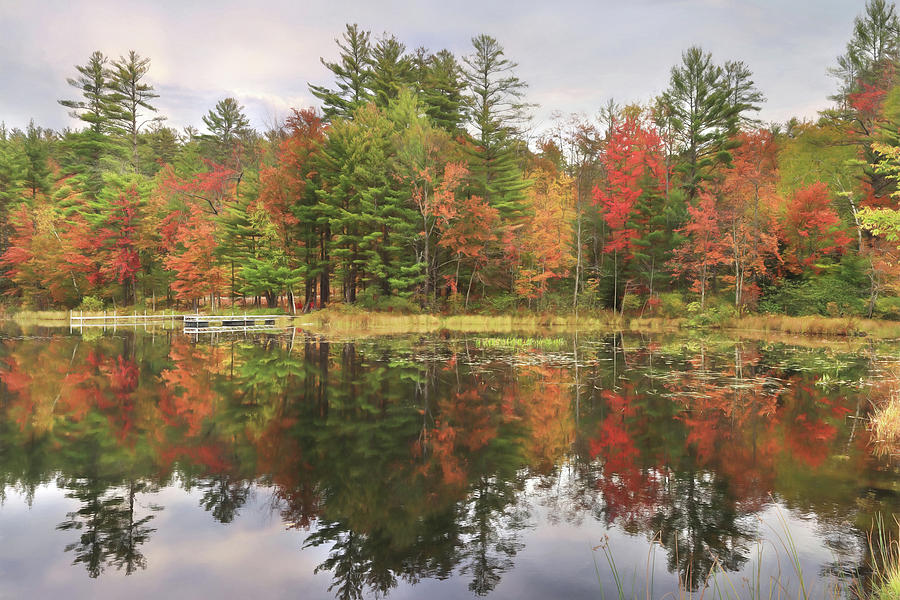 Adirondacks Fall Foliage Photograph by Lori Deiter Pixels