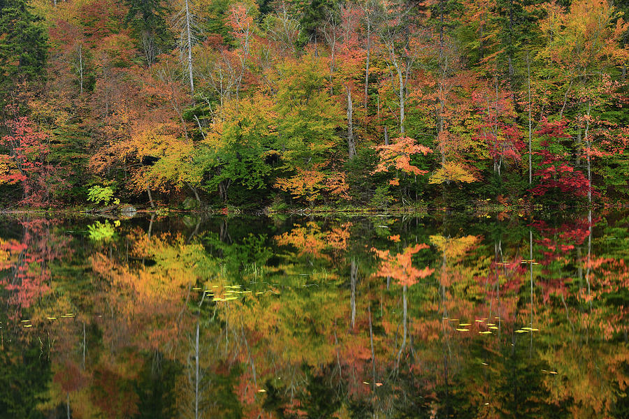 Adirondacks Seventh Lake Photograph by Dean Hueber - Fine Art America