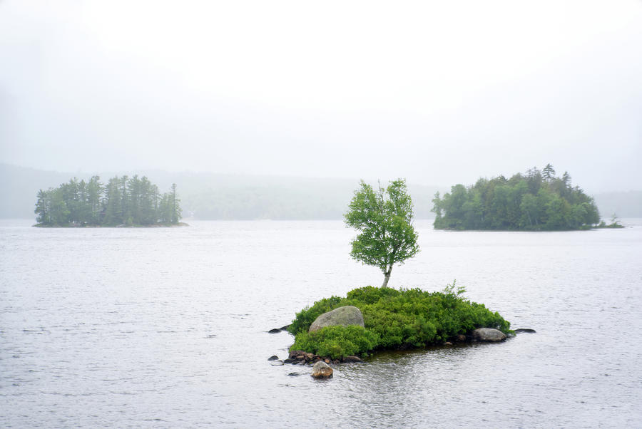 Adirondacks Tupper Lake Region Photograph by Flinn Hackett