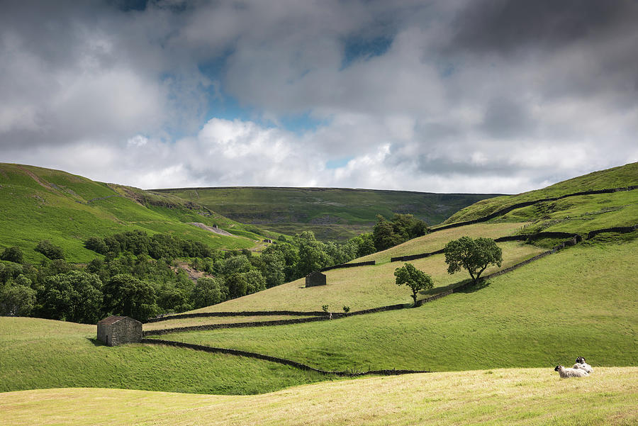 Admiring The View, Swaledale, Yorkshire Dales, England, UK Photograph by Sarah Howard