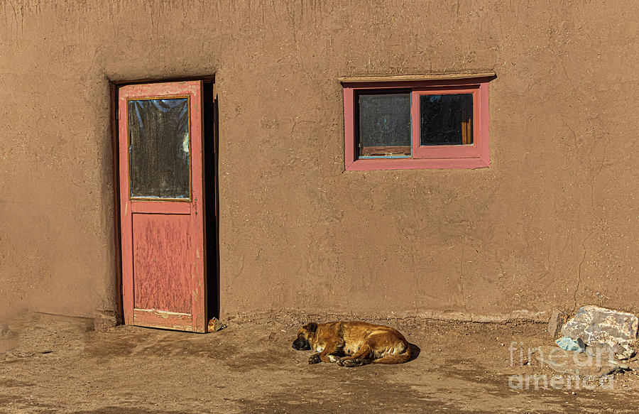  Adobe  House  and Sleeping Dog  Photograph by Thomas Marchessault