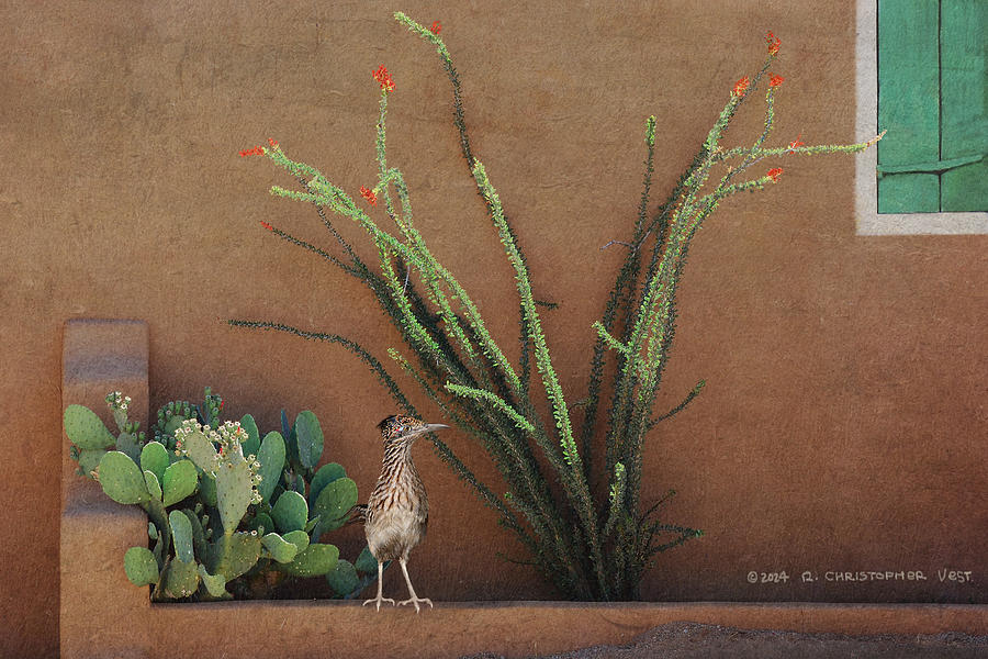 Roadrunner Photograph - Adobe Wall With Roadrunner And Ocotillo by R christopher Vest