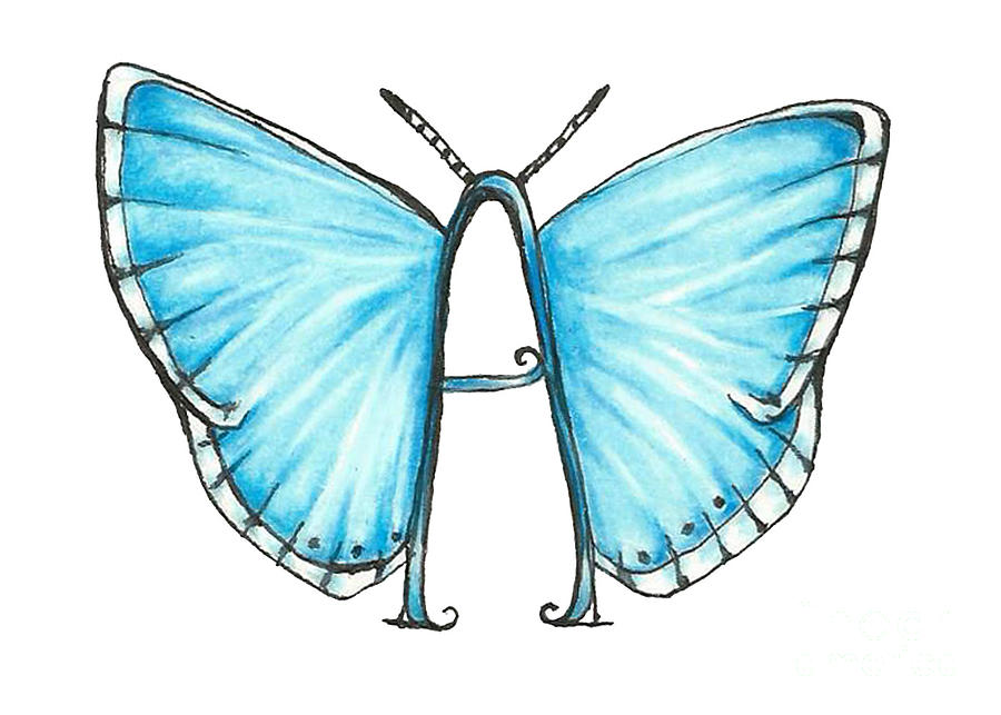 Adonis Blue Butterfly Drawing by Kristin Aquariann Adonis Blue Butterfly Drawing by Kristin Aquariann