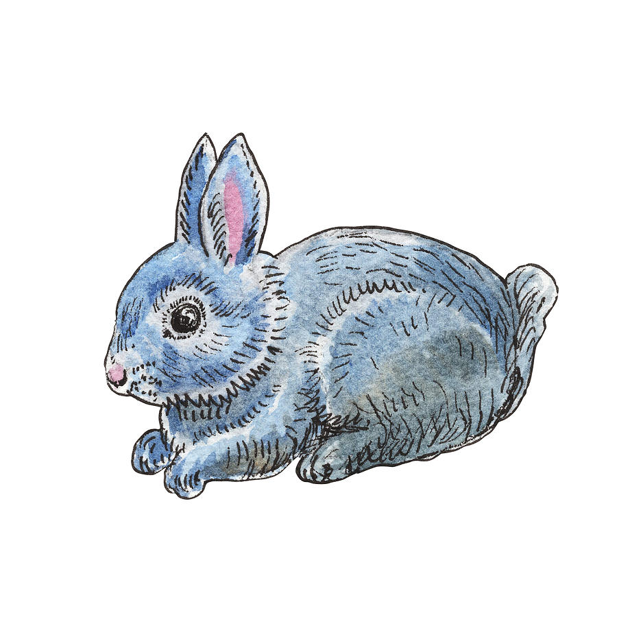 Adorable And Super Cute Peter Rabbit Friend Blue Gray Silver Watercolor  Painting by Irina Sztukowski