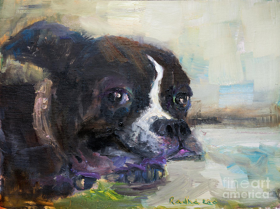 Adorable Boston Bulldog II Painting by Radha Rao