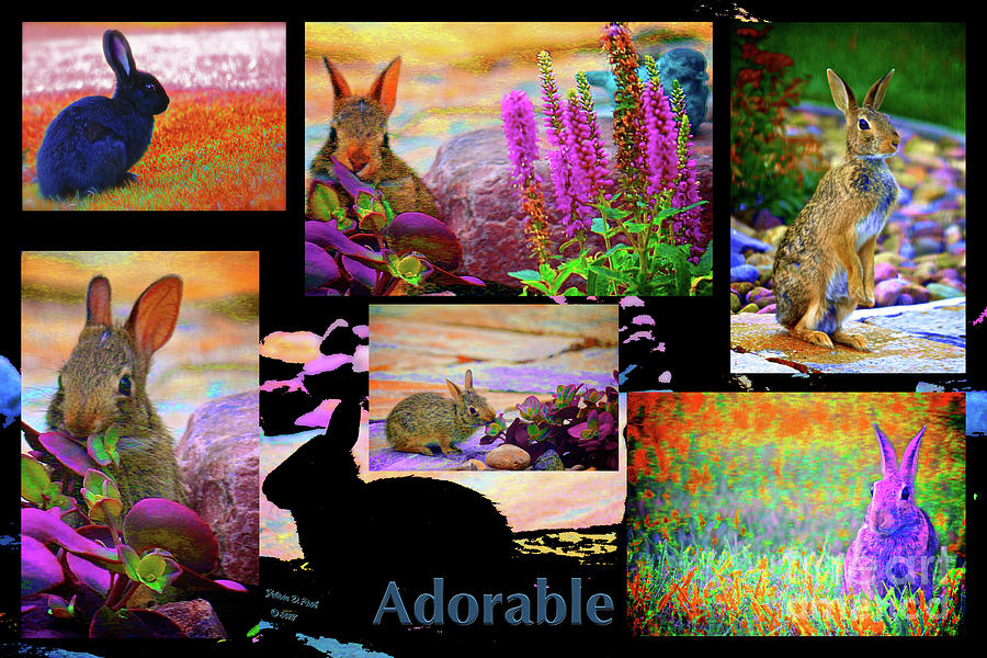 Adorable Bunnies Collage Photograph by Felicia Roth