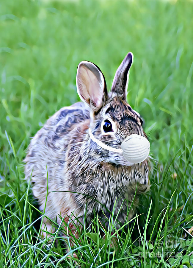 Adorable Bunny Rabbit In The Grass Wearing A Mask Photograph