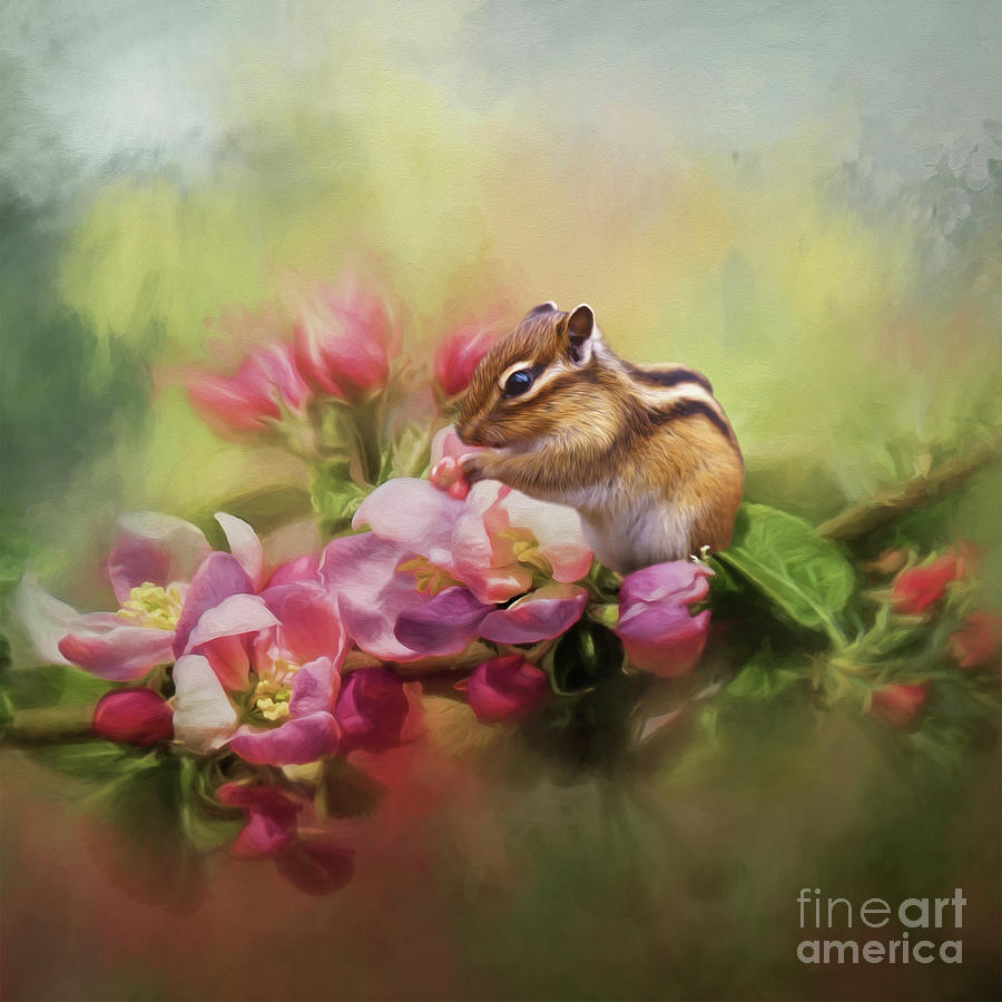 Adorable Chipmunk Mixed Media by Kathy Kelly