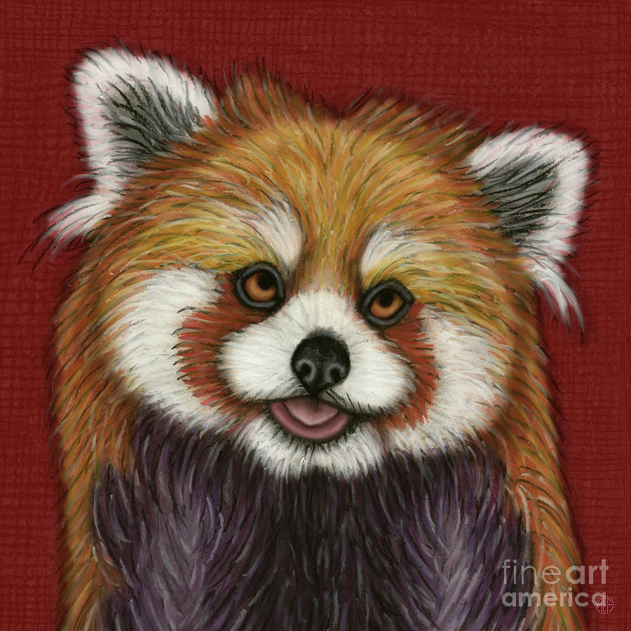 Nature Painting - Adorable Red Panda  by Amy E Fraser