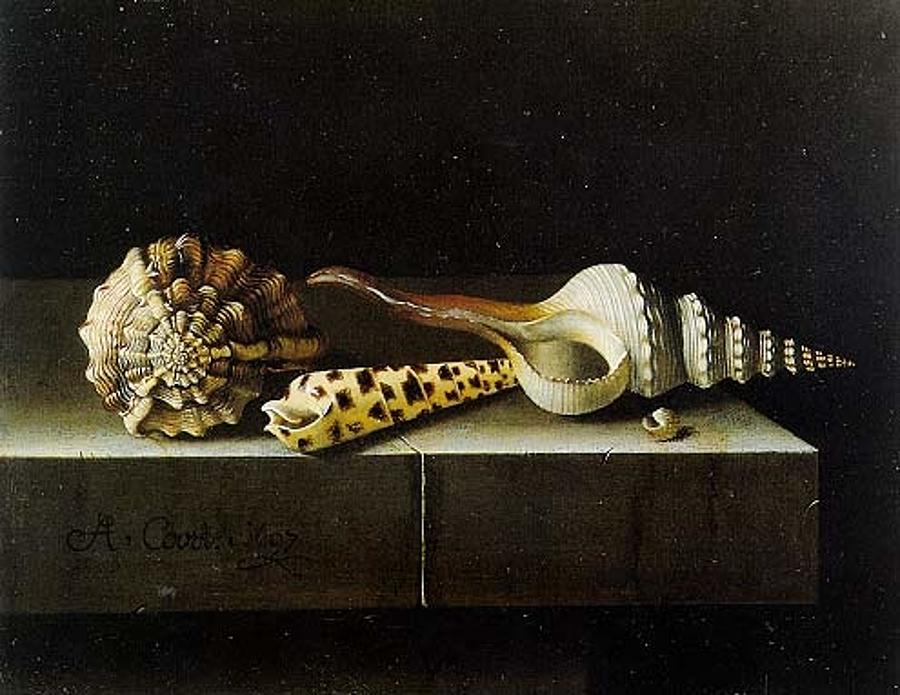 Adriaen Coorte - Still life with four shells Painting by Les Classics