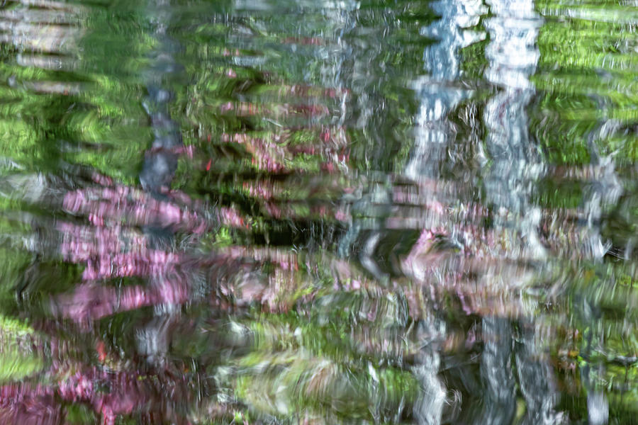 Abstract Photograph - Adrift on Polliwog Pond by Linda MacFarland
