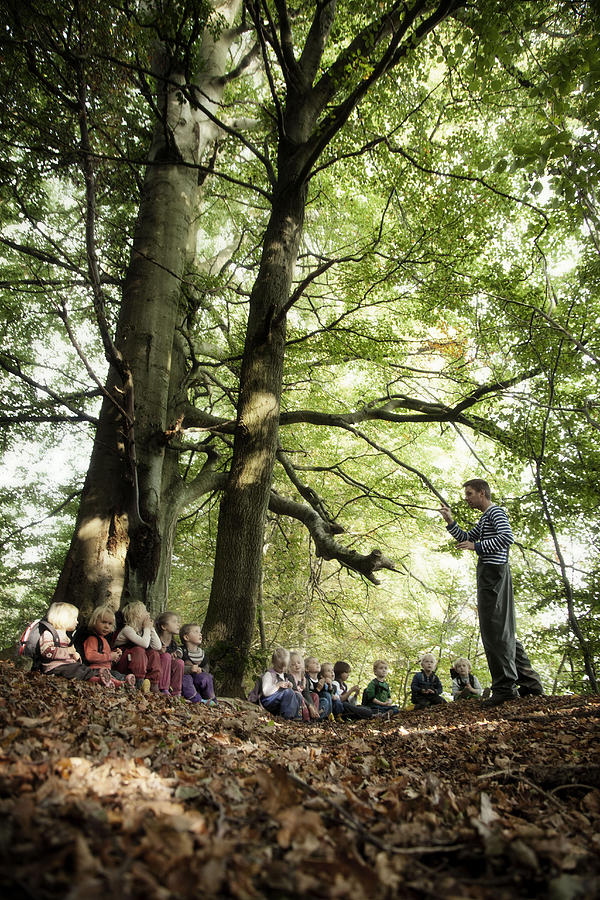 Adult storytelling to children in the forest Photograph by David Trood