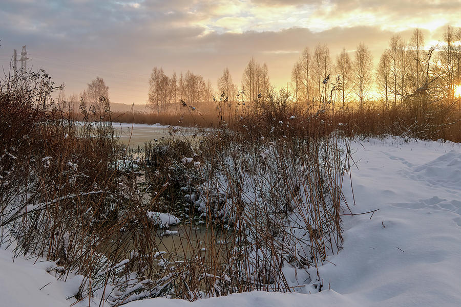Advent Season Starts Latvia  Photograph by Aleksandrs Drozdovs