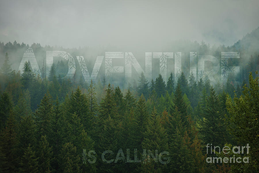 Trees Photograph - Adventure is Calling by Jennylynn Fields