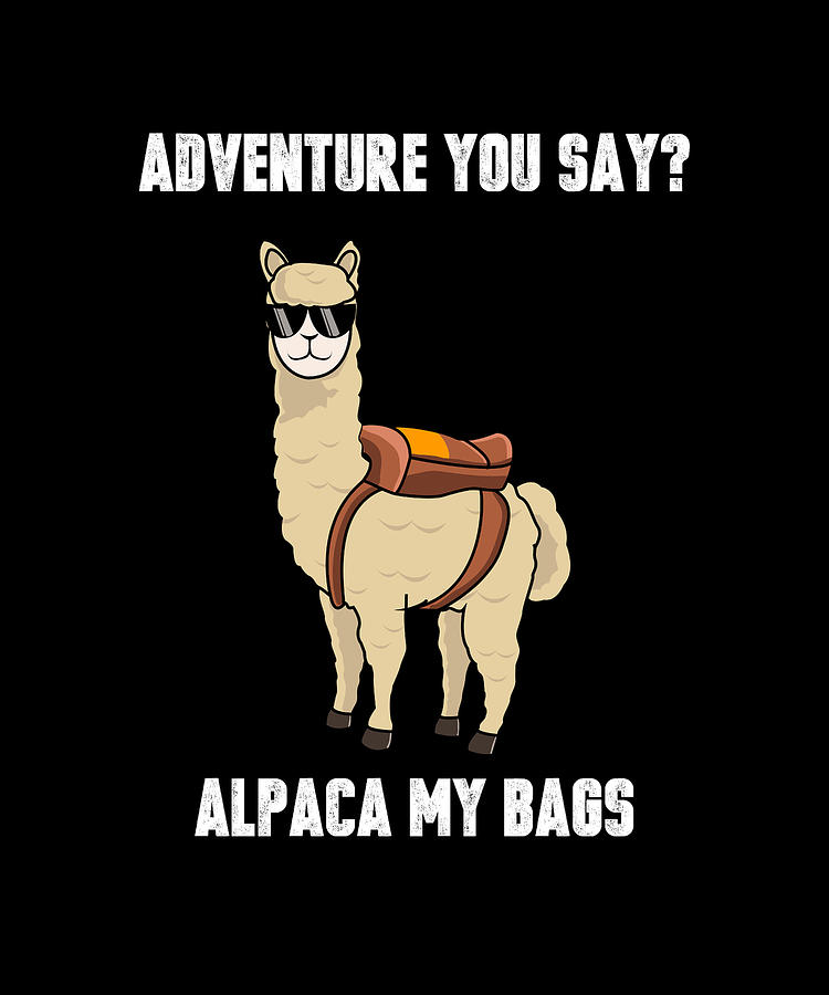 alpaca my bags meme