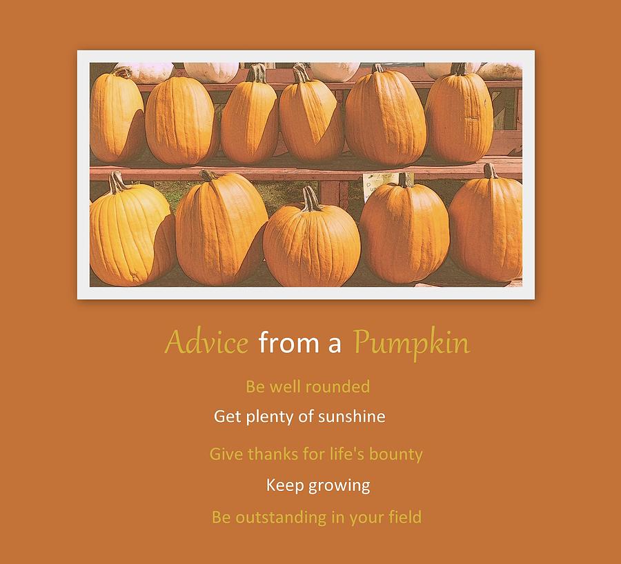 Advice From A Pumpkin Photograph by Karen Cook - Fine Art America