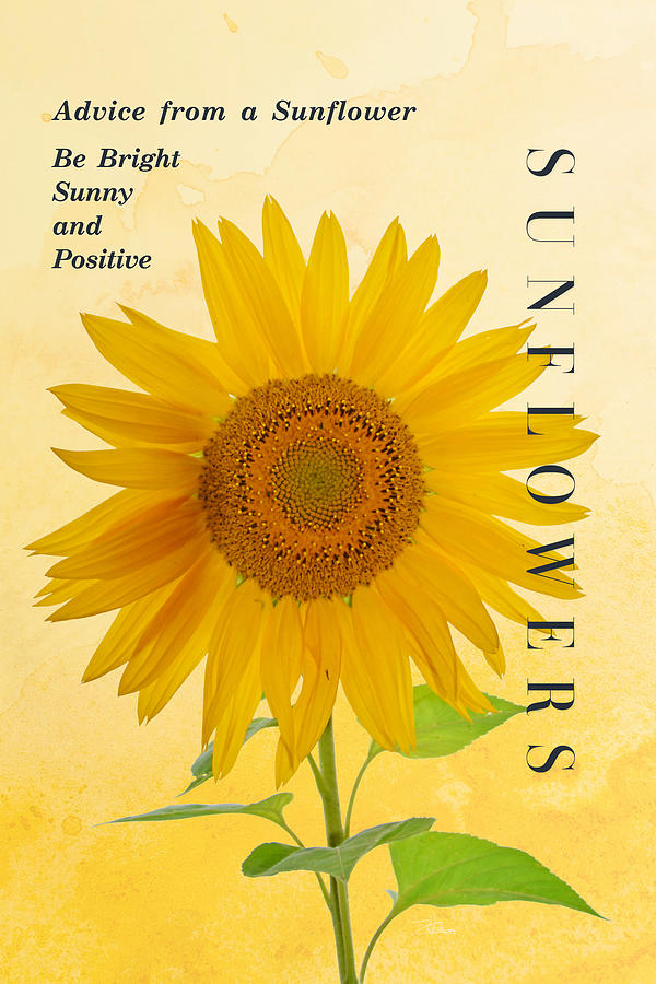 Advice from a Sunflower Photograph by Ingrid Zagers