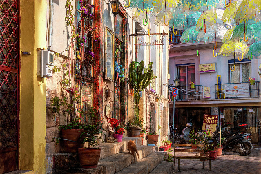 Aegina Street Scene Photograph by Douglas Wielfaert