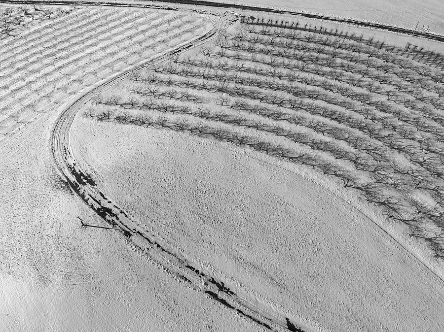 Aerial Agricultural Pattern Photograph by Susan Candelario