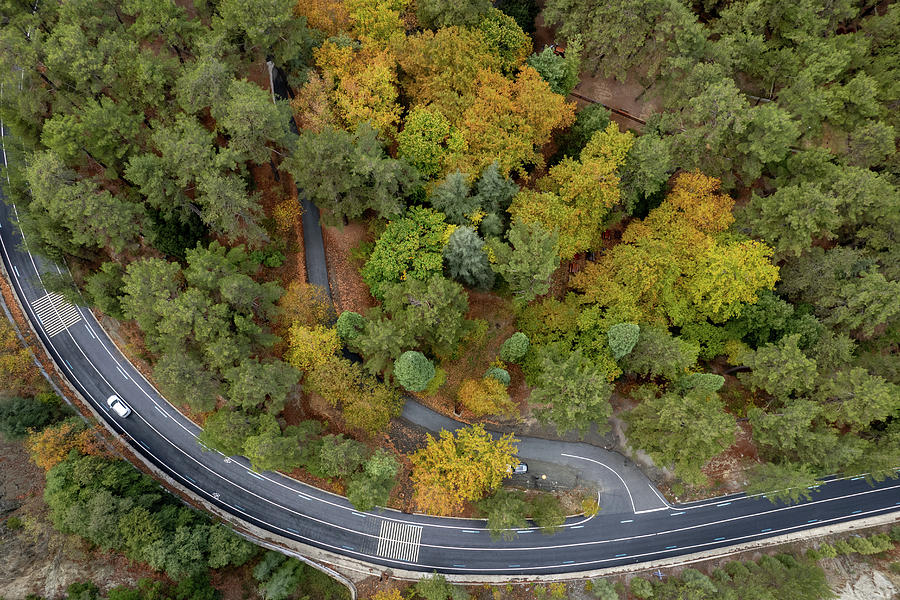 Aerial drone forest landscape, yellow trees and curved road in autumn Photograph by Michalakis Ppalis