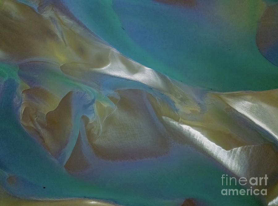 Aerial Estuary Blue Green Abstract Photograph