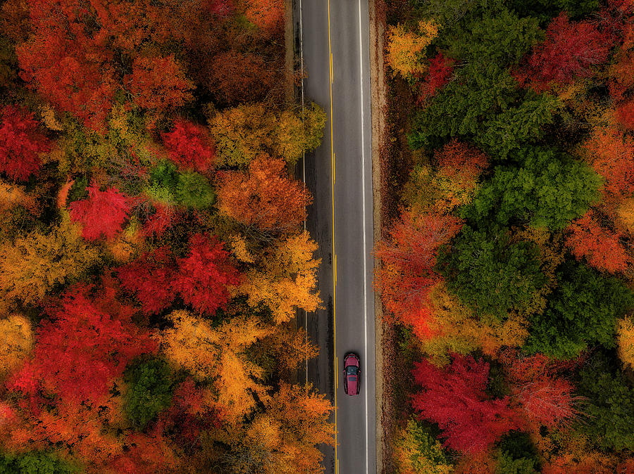 Aerial  NH Fall Foliage  Photograph by Susan Candelario
