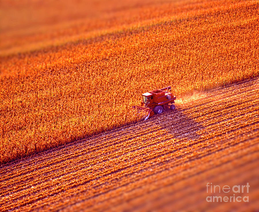 Aerial Red Combine Harvesting crop Photograph by Tom Jelen