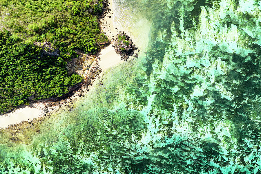 Aerial Summer - Aquamarine Coral Beach Photograph by Philippe HUGONNARD