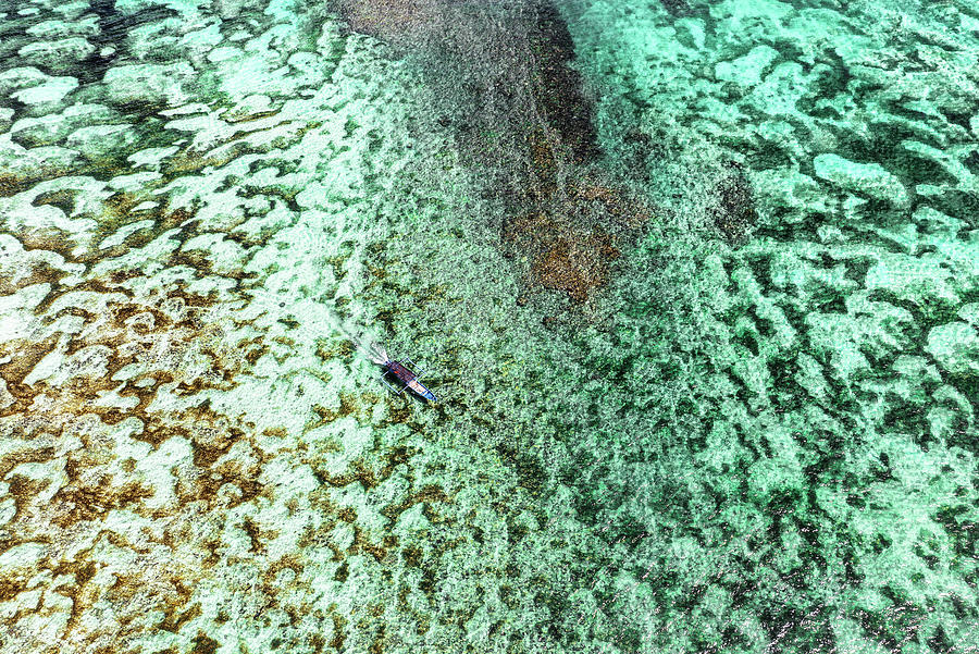 Aerial Summer - Between Two Coral Reefs Photograph by Philippe HUGONNARD