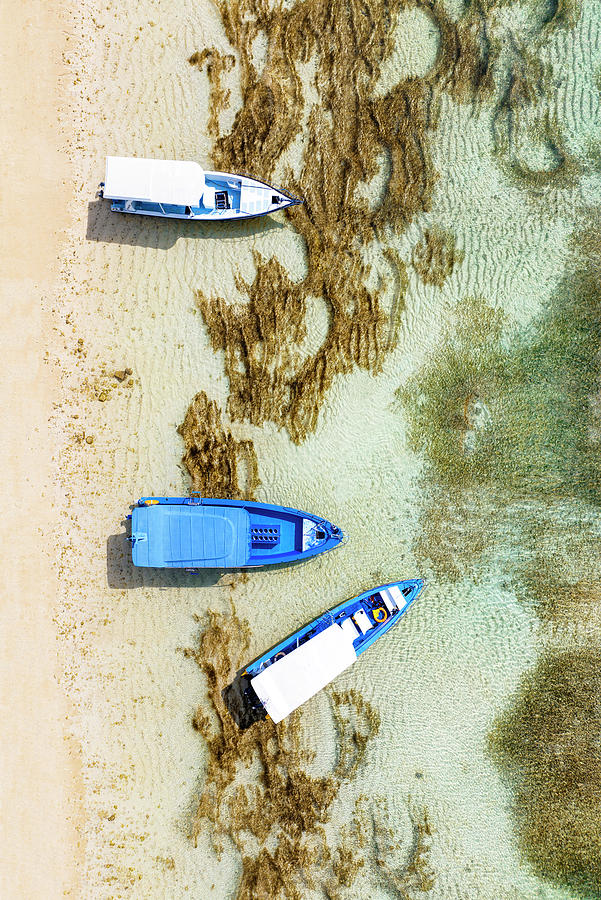 Aerial Summer - Blue Boats Photograph by Philippe HUGONNARD