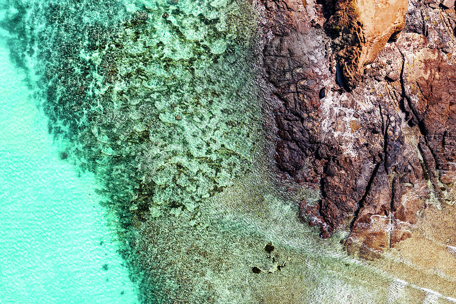 Aerial Summer - Coral Reef Photograph by Philippe HUGONNARD
