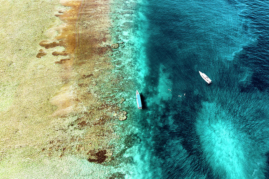 Aerial Summer - Coral Reefs Photograph by Philippe HUGONNARD