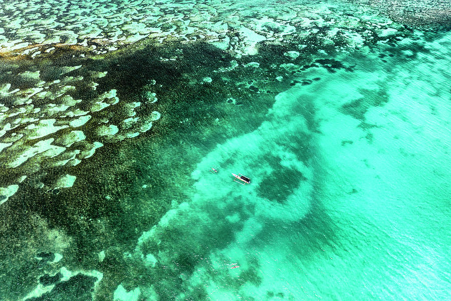 Aerial Summer - Seagreen Coral Reef Photograph by Philippe HUGONNARD